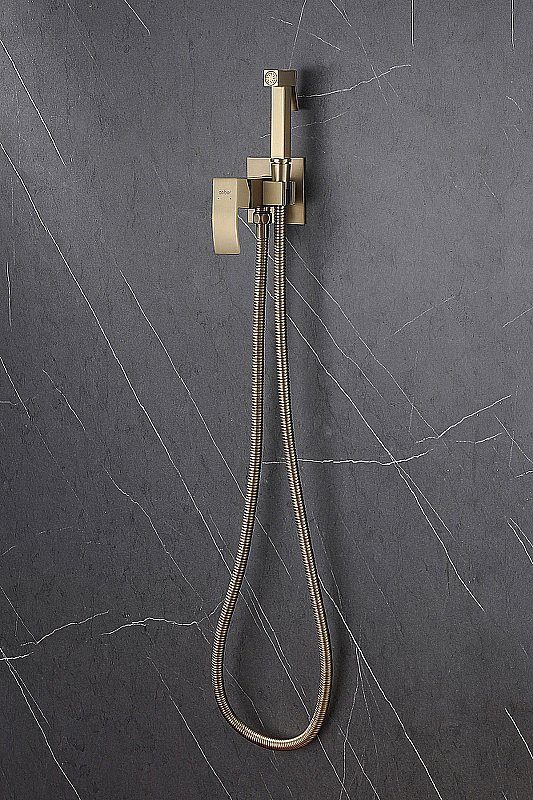 Гигиенический душ Abber Wasserfall AF8625G никель матовый купить в интернет-магазине сантехники Sanbest