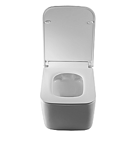 Унитаз подвесной Elghansa Monterno RQ-5537 белый, безободковый, с крышкой микролифт купить в интернет-магазине Sanbest