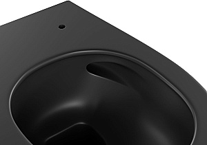 Унитаз подвесной Allen Brau Fantasy 3 Vortex 4.11035.31 черный матовый, с крышкой микролифт, слив торнадо купить в интернет-магазине Sanbest