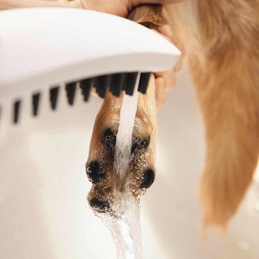 Душевая лейка для собак Hansgrohe DogShower 26640700 белый матовый купить в интернет-магазине сантехники Sanbest