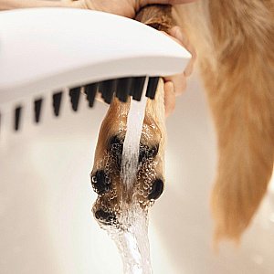 Душевая лейка для собак Hansgrohe DogShower 26640700 белый матовый купить в интернет-магазине сантехники Sanbest