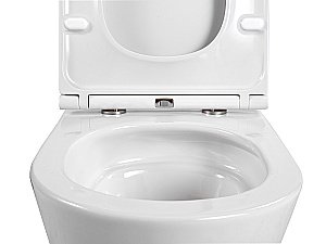 Унитаз подвесной Aquatek Вега AQ1904T-00 белый, с крышкой микролифт, безободковый, слив-торнадо купить в интернет-магазине Sanbest