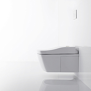 Унитаз TOTO NEOREST AC CW996PVD#NW1 с крышкой-биде WASHLET® AC 2.0 TCF996RWG#NW1 безободковый, слив торнадо, белый купить в интернет-магазине Sanbest