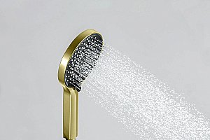 Душевая лейка Aquatek ЛУГАНО AQ2201BG золото шлифованное купить в интернет-магазине сантехники Sanbest
