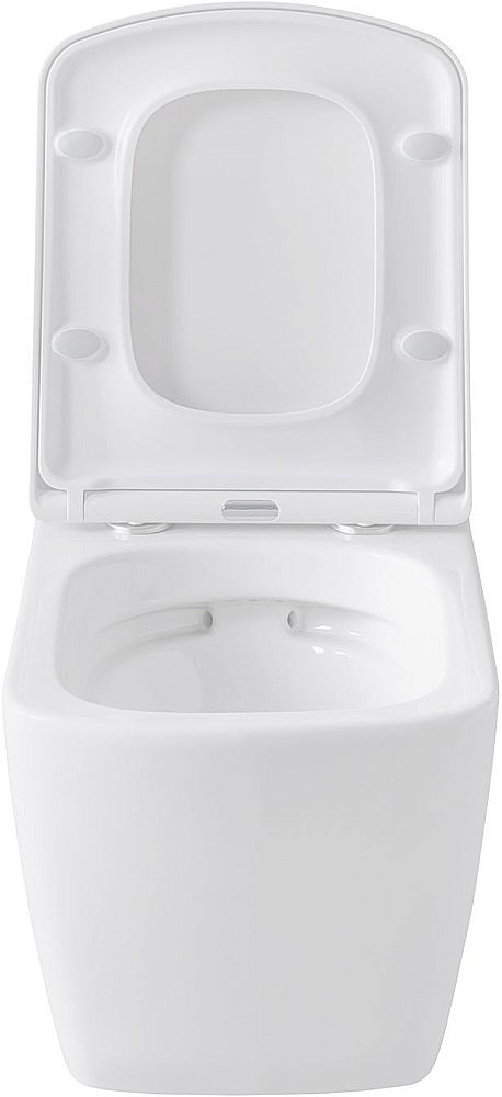 Унитаз Allen Brau Liberty 4.33004.20 безободковый, с крышкой микролифт, белый купить в интернет-магазине Sanbest