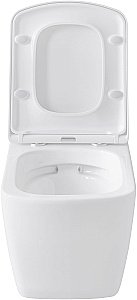 Унитаз Allen Brau Liberty 4.33004.20 безободковый, с крышкой микролифт, белый купить в интернет-магазине Sanbest