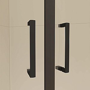 Душевой уголок RGW Classic CL-55-B 90х90 72095599-14 стекло прозрачное/профиль черный купить в интернет-магазине Sanbest