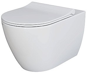 Унитаз Ambassador Queen 113T20001R-112T20001S белый, безободковый, с крышкой микролифт купить в интернет-магазине Sanbest