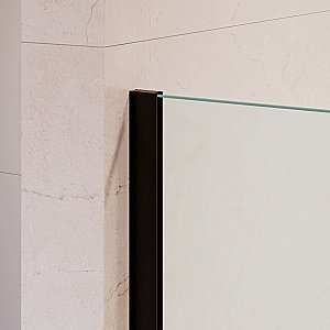 Душевая перегородка RGW Walk In WA-210B 90 351021009-24 стекло матовое/профиль черный купить в интернет-магазине Sanbest