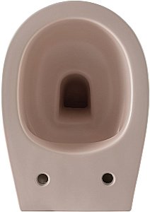 Унитаз Allen Brau Fantasy 4.11004.SM безободковый, розовый купить в интернет-магазине Sanbest