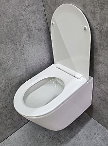Унитаз подвесной CeramaLux TR5178 белый, безободковый, с крышкой микролифт, слив торнадо купить в интернет-магазине Sanbest
