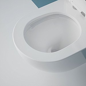 Унитаз подвесной Esbano GARDENA-49T купить в интернет-магазине Sanbest