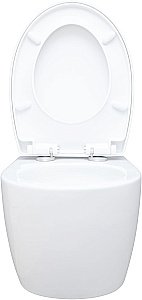 Унитаз подвесной Aquanet ZV-1 белый с крышкой микролифт, безободковый, слив-торнадо купить в интернет-магазине Sanbest