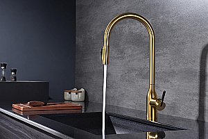 Смеситель для кухни Paulmark Universal Un213880-BG брашированное золото купить в интернет-магазине сантехники Sanbest