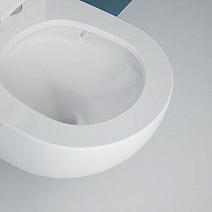 Унитаз подвесной Esbano GARDENA-49T купить в интернет-магазине Sanbest