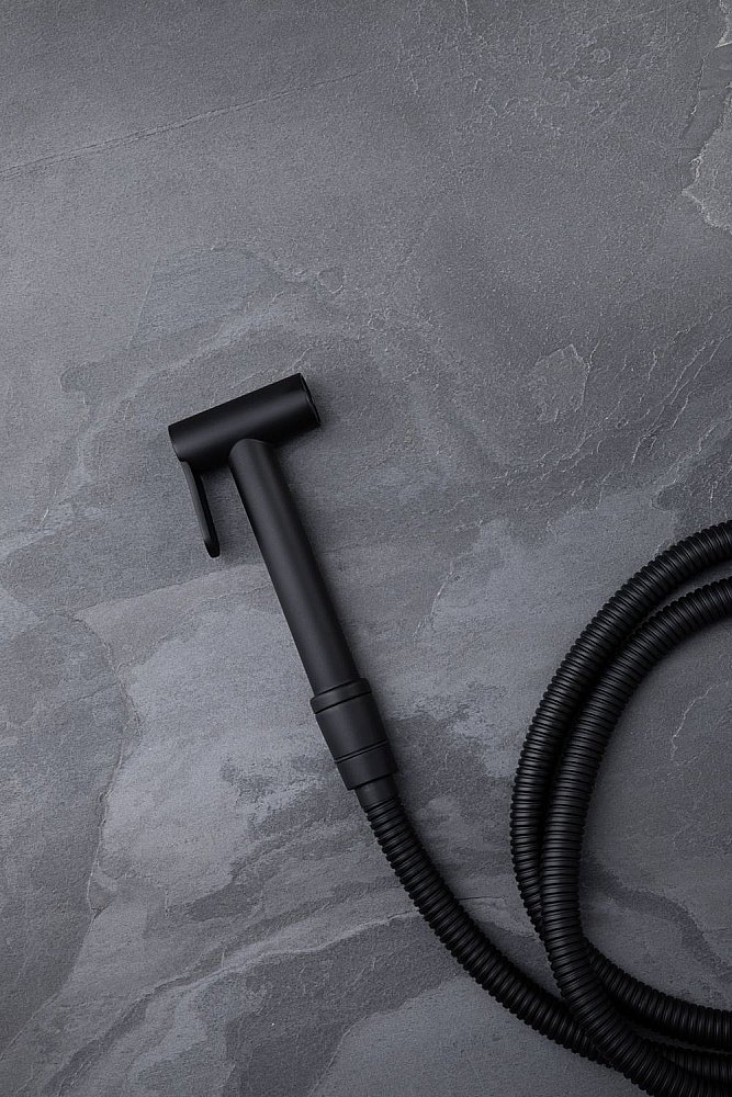 Гигиенический душ Allen Brau Priority 5.31028-31 черный матовый купить в интернет-магазине сантехники Sanbest