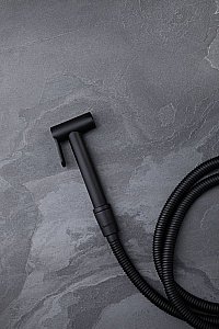 Гигиенический душ Allen Brau Priority 5.31028-31 черный матовый купить в интернет-магазине сантехники Sanbest