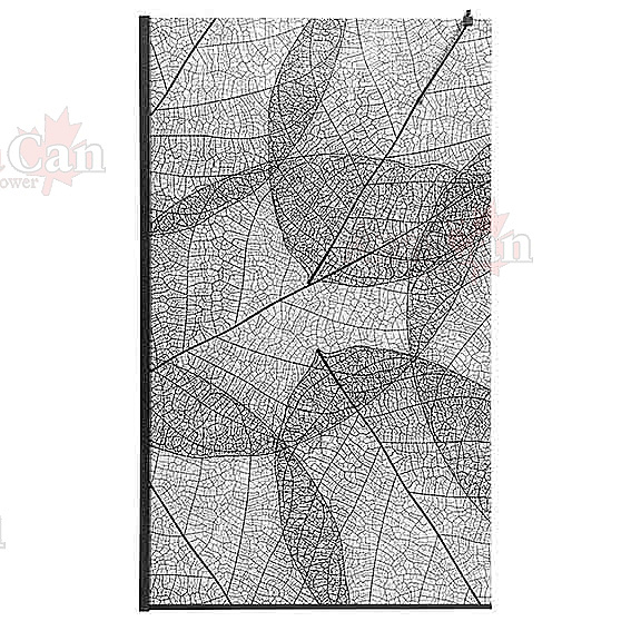 Душевое ограждение AvaCan MB110 профиль черный/стекло прозрачное с рисунком купить в интернет-магазине Sanbest