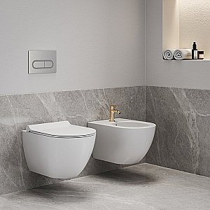 Смеситель для биде Ravak Eleganta X070369 розовое золото купить в интернет-магазине сантехники Sanbest