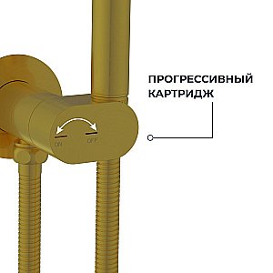 Гигиенический душ RGW Shower Panels SP-213Gb 581408213-06 золото брашированное купить в интернет-магазине сантехники Sanbest
