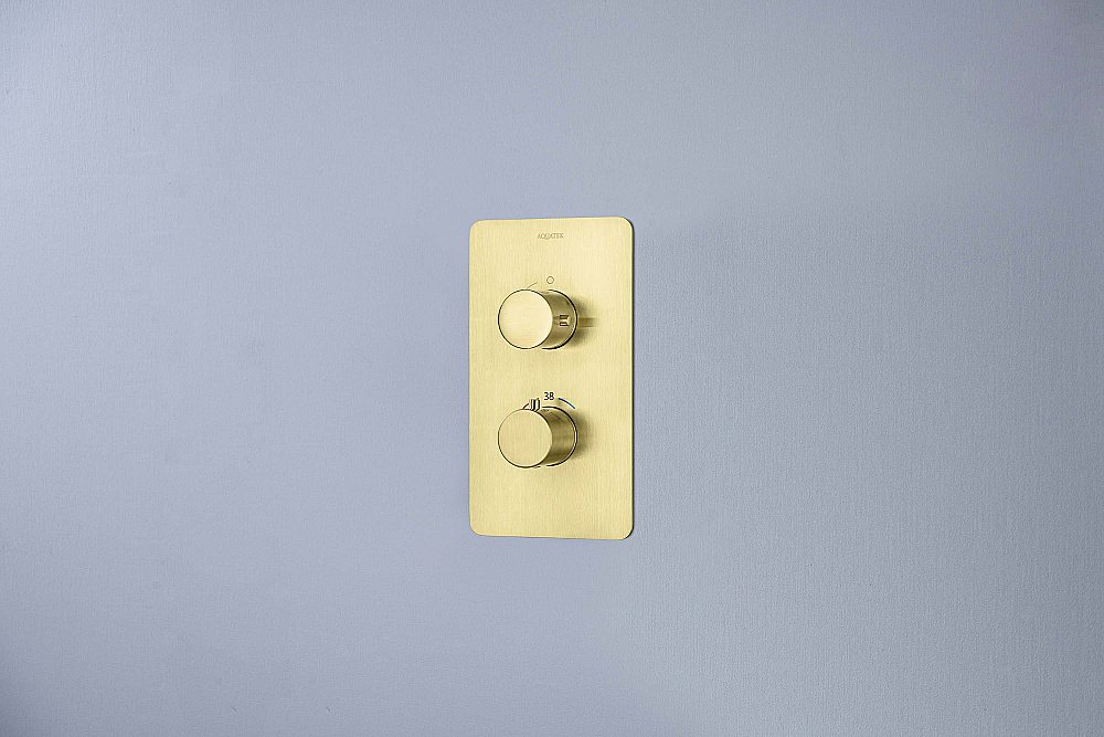 Cмеситель для душа Aquatek Европа AQ1391BG золото шлифованное купить в интернет-магазине сантехники Sanbest