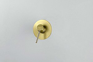 Cмеситель для душа Aquatek Европа AQ1366BG золото шлифованное купить в интернет-магазине сантехники Sanbest