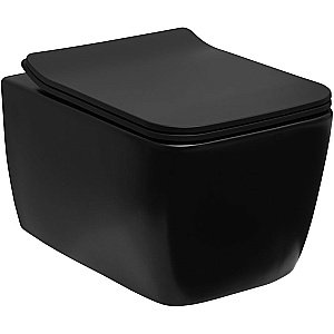 Унитаз подвесной Allen Brau Liberty 2 4.33007.31 черный матовый, безободковый купить в интернет-магазине Sanbest