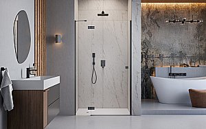 Душевая дверь Radaway Essenza 8 Brushed GunMetal DWJ 110 L стекло прозрачное/профиль брашированная оружейная сталь купить в интернет-магазине Sanbest