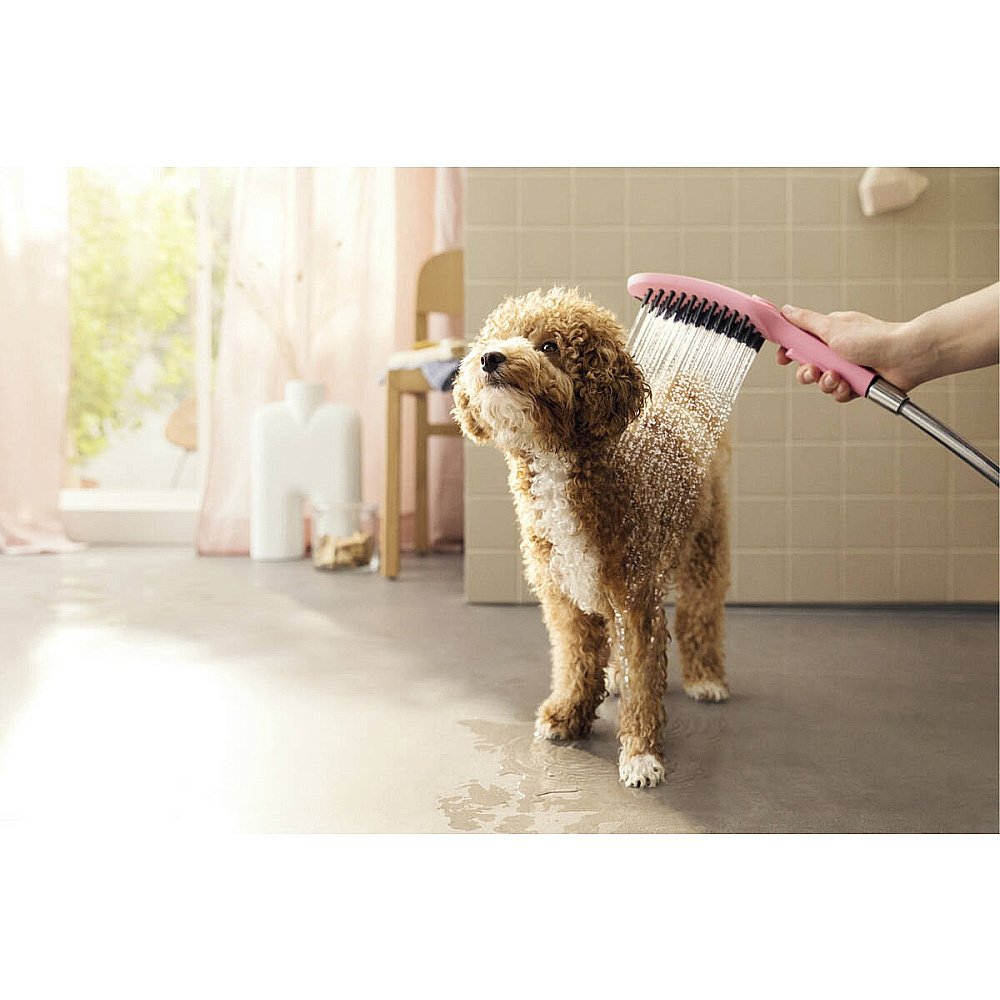 Душевая лейка для собак Hansgrohe DogShower 26640560 розовый купить в интернет-магазине сантехники Sanbest