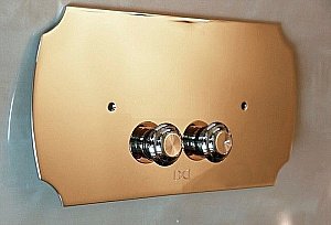 Кнопка для инсталляции Devon&Devon DEPLOT золото купить в интернет-магазине сантехники Sanbest