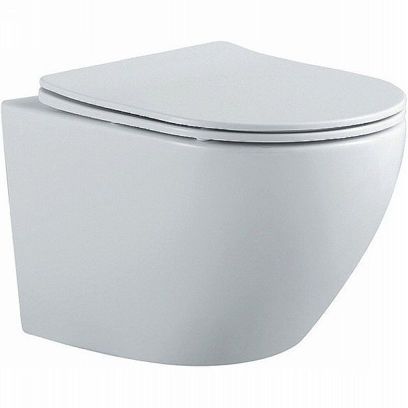 Унитаз подвесной Aquatek Европа AQ1901-MW белый матовый, с крышкой микролифт, безободковый купить в интернет-магазине Sanbest