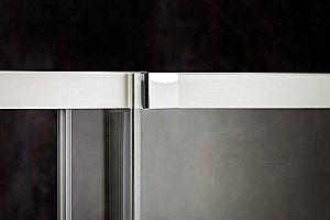 Душевая дверь Ravak Matrix MSD2 100 блестящая купить в интернет-магазине Sanbest