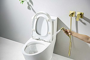 Гигиенический душ Aquatek Оберон AQ1220BG золото шлифованное купить в интернет-магазине сантехники Sanbest