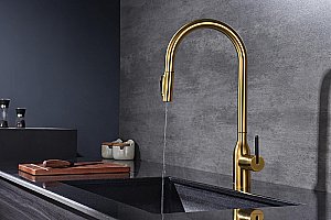 Смеситель для кухни Paulmark Universal Un213880-BG брашированное золото купить в интернет-магазине сантехники Sanbest