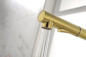 Смеситель для кухни Paulmark Neo Ne214419-LG  светлое золото купить в интернет-магазине сантехники Sanbest