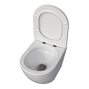 Унитаз подвесной Taliente Amato AM25010 Bianco opaco безободковый, с крышкой микролифт, белый матовый купить в интернет-магазине Sanbest