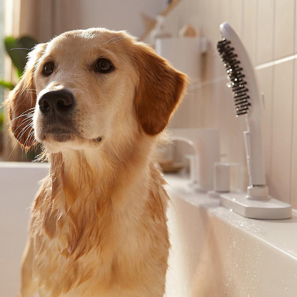 Душевая лейка для собак Hansgrohe DogShower 26640700 белый матовый купить в интернет-магазине сантехники Sanbest