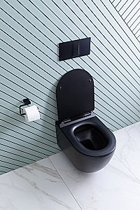 Унитаз подвесной Aquanet Rimless Cetus-BW BL-102N-WHT с крышкой микролифт, безободковый купить в интернет-магазине Sanbest