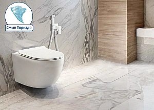 Унитаз подвесной CeruttiSpa Clio Aria Tornado 10582 белый, безободковый, с крышкой микролифт, слив-торнадо купить в интернет-магазине Sanbest