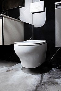 Унитаз Boheme FIORE 978-SET-W безободковый, с крышкой микролифт, смыв торнадо, белый глянцевый купить в интернет-магазине Sanbest