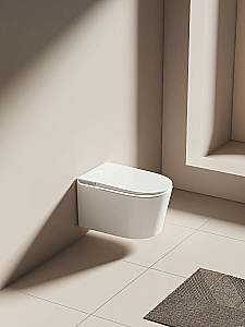 Унитаз-биде подвесной с инсталляцией Allen Brau Smart 4.I1001.20 белый, с крышкой микролифт, слив торнадо купить в интернет-магазине Sanbest