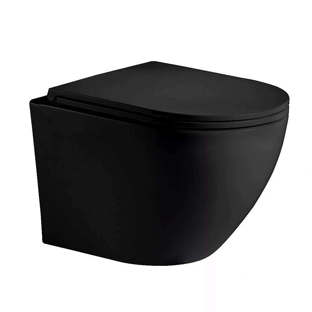 Унитаз с инсталляцией WeltWasser MARBERG 410 + MERZBACH 043 MT-BL + MAR 410 RD купить в интернет-магазине Sanbest