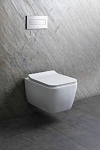 Унитаз подвесной Allen Brau Liberty 2 4.33007.21 белый матовый, безободковый купить в интернет-магазине Sanbest