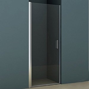 Душевая дверь Riho Novik Z101 100 купить в интернет-магазине Sanbest