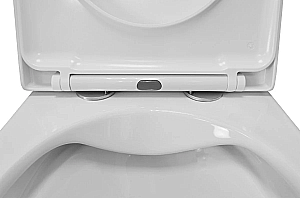 Унитаз подвесной Azario Fora AZ-0017 E-R белый, безободковый, с крышкой микролифт купить в интернет-магазине Sanbest