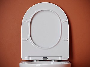 Унитаз подвесной Ceramica Nova Uno CN11001T белый, с крышкой микролифт, безободковый, слив-торнадо купить в интернет-магазине Sanbest