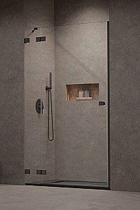 Душевая дверь Radaway Essenza Pro Brushed Nickel DWJ 120 стекло прозрачное/профиль брашированная оружейная сталь купить в интернет-магазине Sanbest