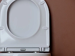 Унитаз подвесной Ceramica Nova UP CN4007 безободковый, с крышкой микролифт, слив-торнадо, белый купить в интернет-магазине Sanbest