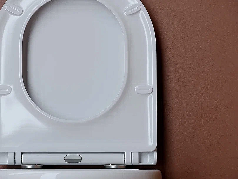 Унитаз подвесной Ceramica Nova UP CN4007 безободковый, с крышкой микролифт, слив-торнадо, белый купить в интернет-магазине Sanbest