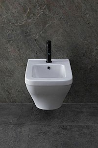 Биде Allen Brau Infinity 2 4.21014.20 белое купить в интернет-магазине Sanbest